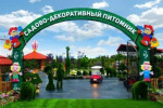 Садовый Декоративный Питомник